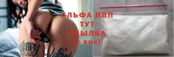 гидра Михайловск