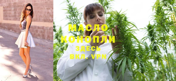 мдпв Чехов