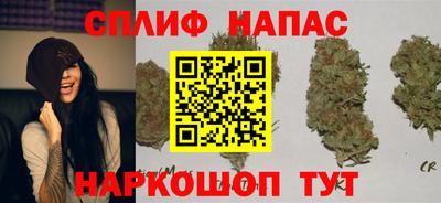 соль ск Бийск