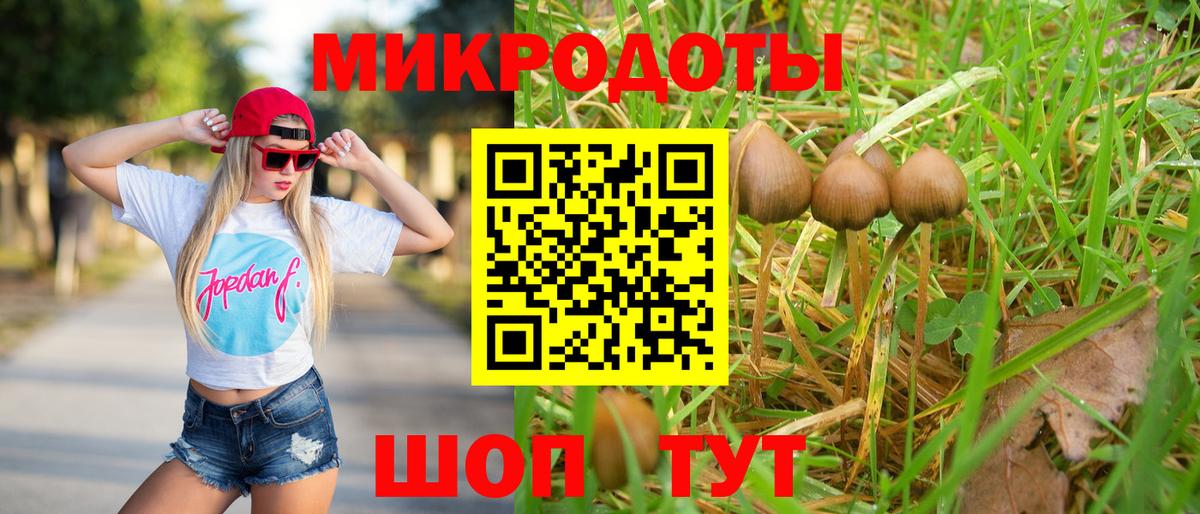 Галлюциногенные грибы мицелий Бийск