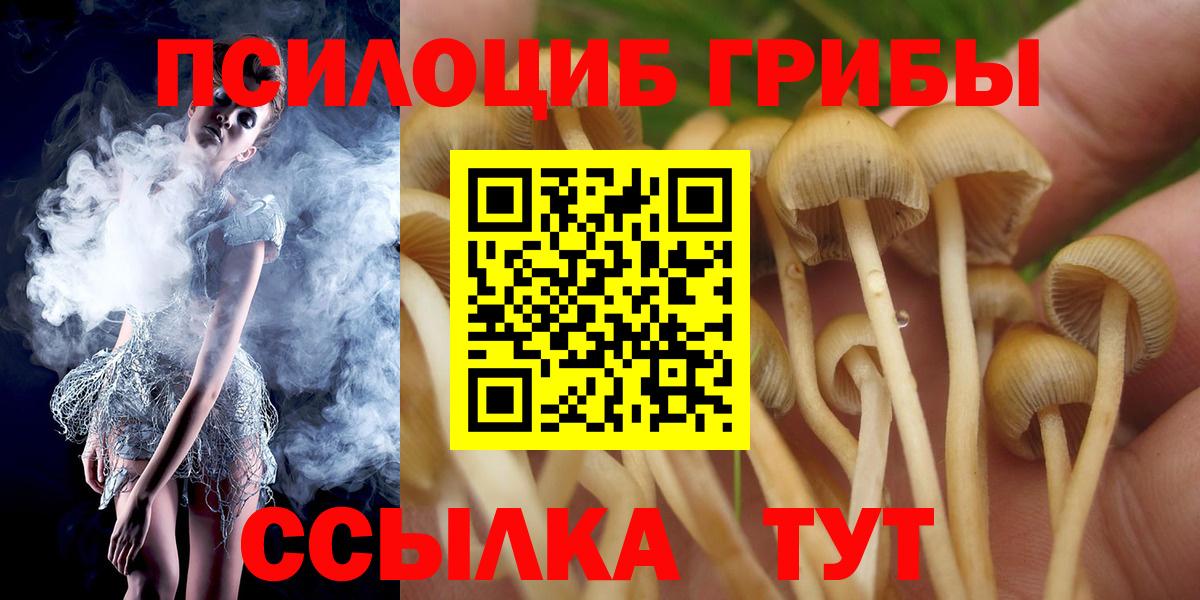 Галлюциногенные грибы ЛСД  Псилоцибиновые грибы Psilocybine cubensis  где купить наркоту  Бийск 