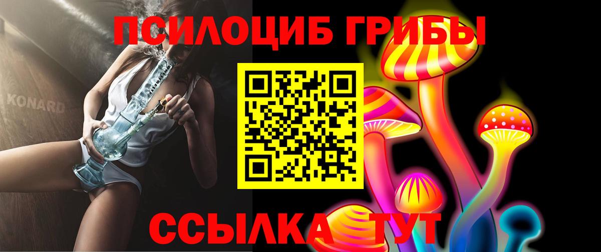 Бийск  дарнет шоп  Вход с VPN  Псилоцибиновые грибы Cubensis 