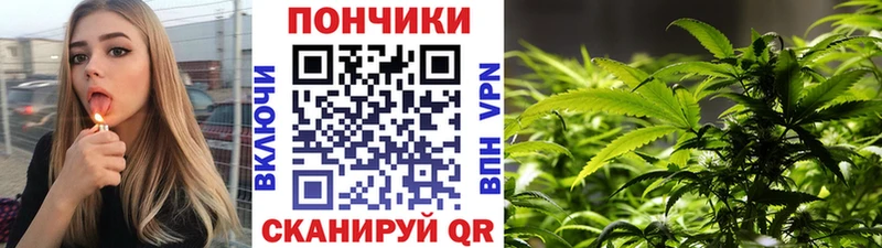 Бошки марихуана индика  где найти   Бийск 